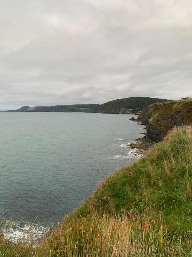 Vila Wild Coastal Retreat At Troed Y Rhiw Aberporth, West Wales Exteriér fotografie