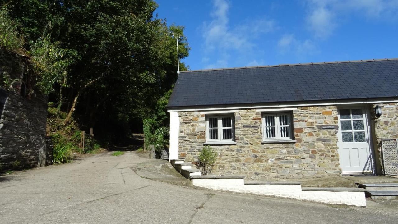 Vila Wild Coastal Retreat At Troed Y Rhiw Aberporth, West Wales Exteriér fotografie