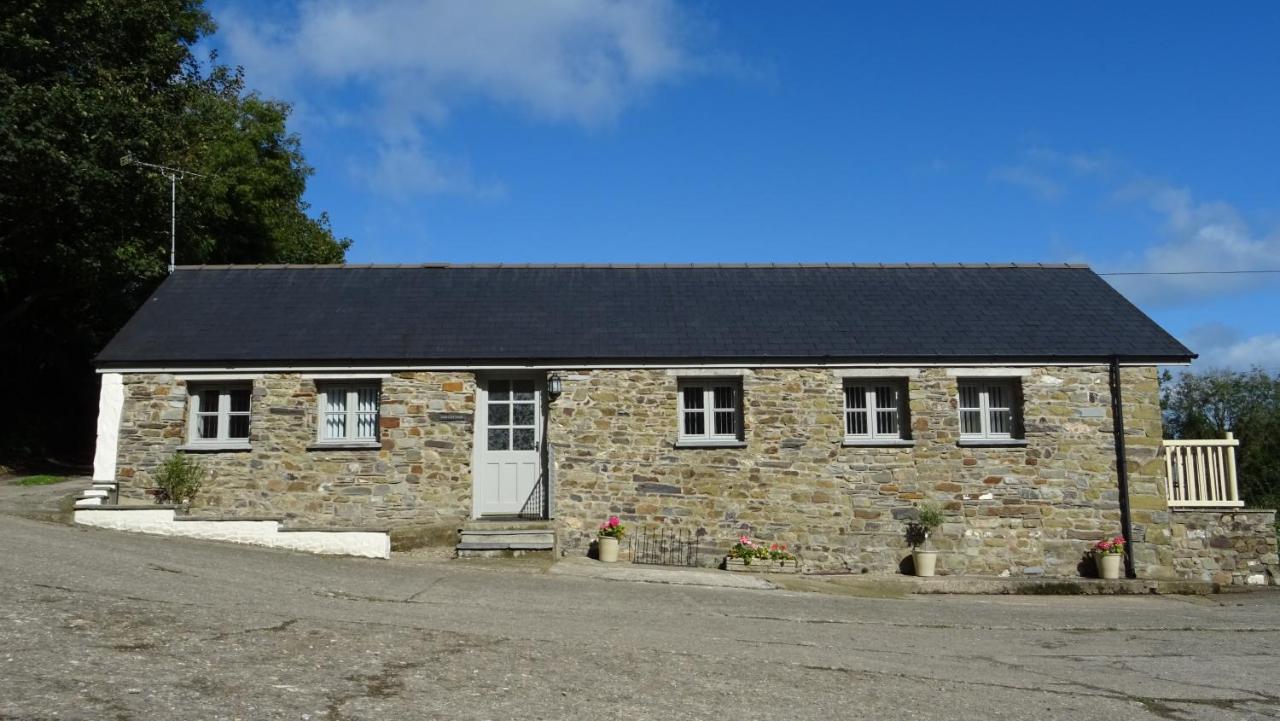 Vila Wild Coastal Retreat At Troed Y Rhiw Aberporth, West Wales Exteriér fotografie